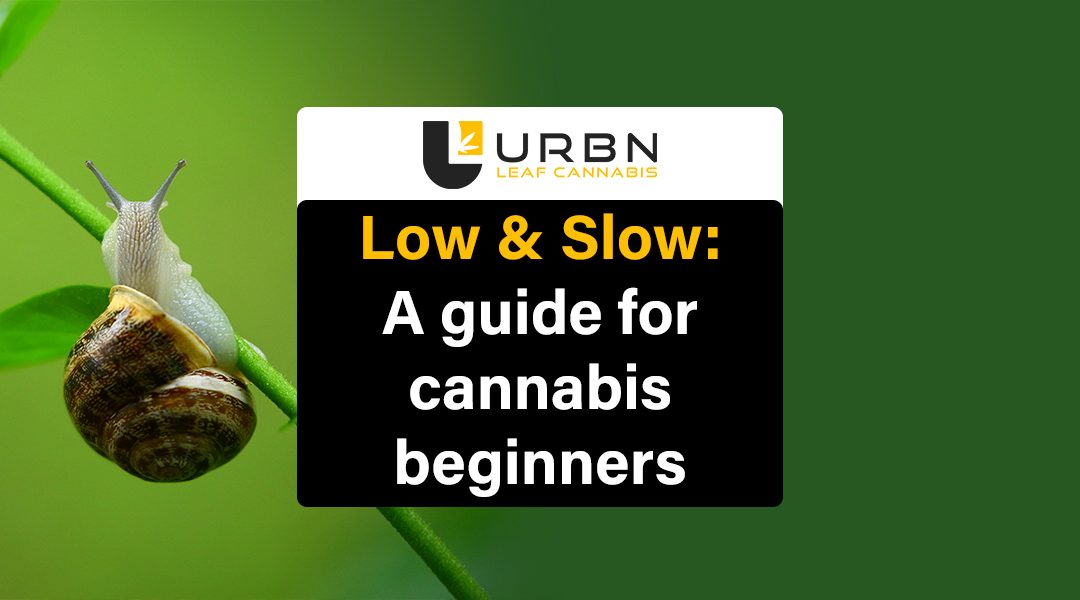 Low & Slow: A guide for cannabis beginners