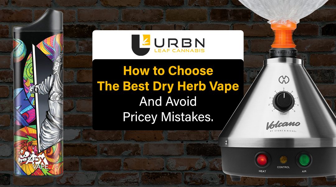 How to Choose the best dry herb vape and avoid pricey mistakes.