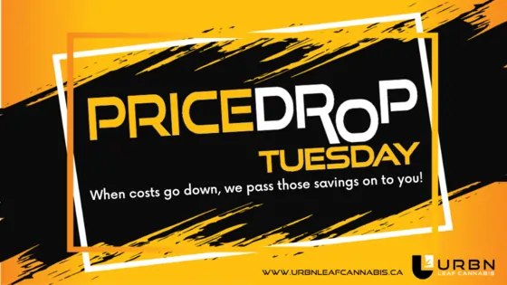 Price Drop Tuesday