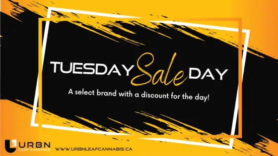 Tuesday Sale Day