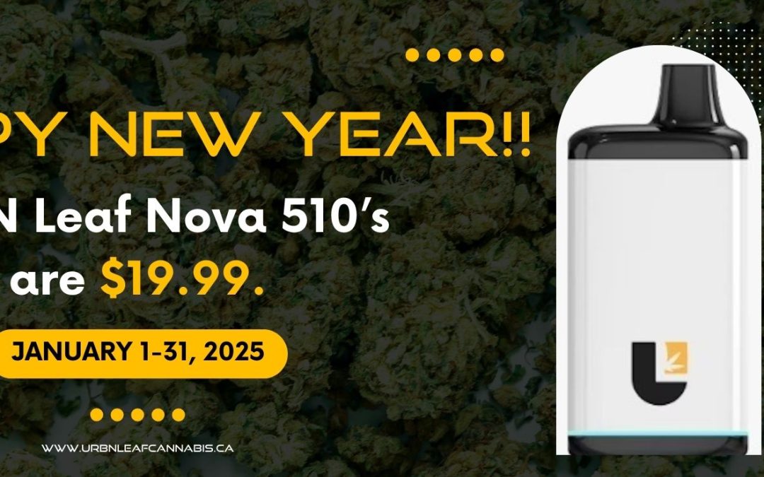 Nova 510’s are $19.99 Jan 1-31