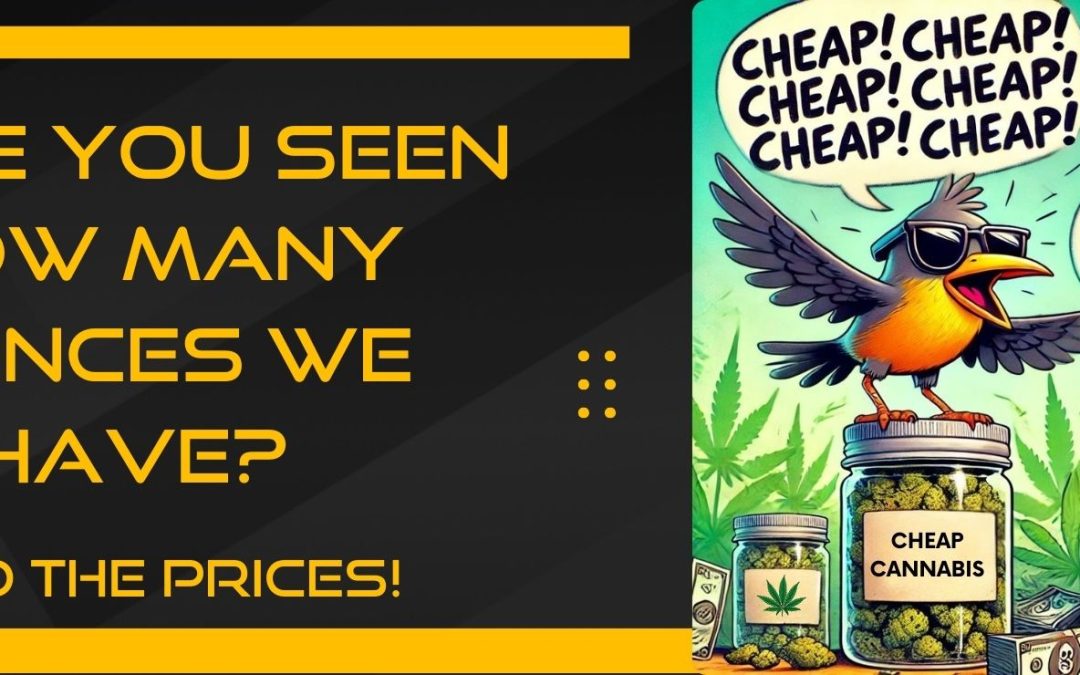 cheap cheap