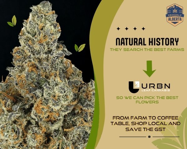 Proudly Alberta - Natural History