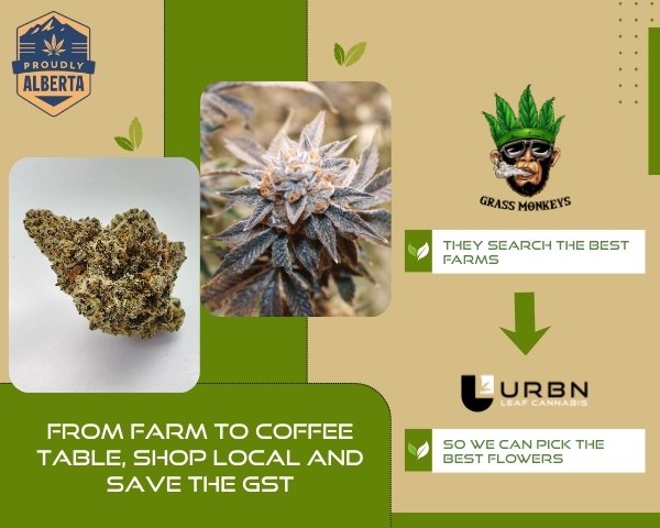 Proudly Alberta - Grass Monkeys